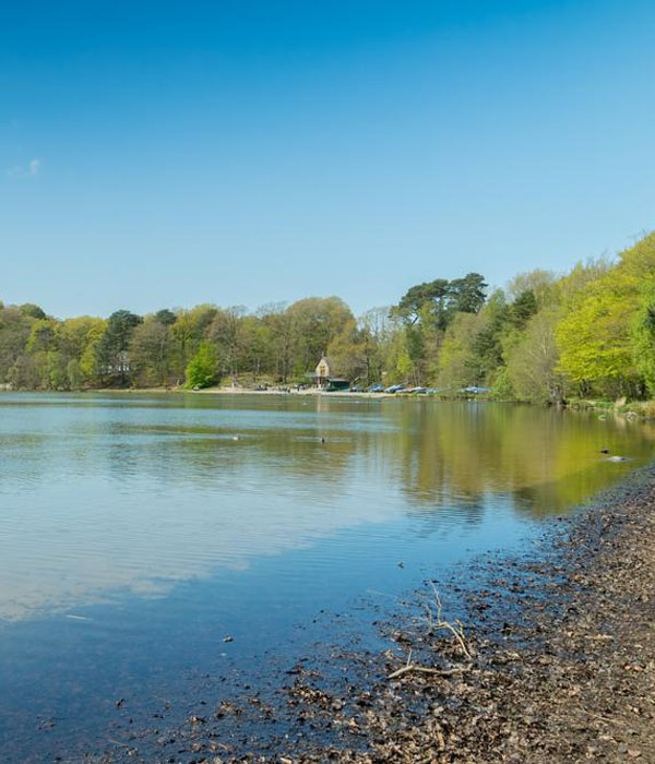 Talkin Tarn near Brampton